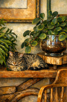 Pet Photo Paintings